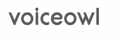 voiceowl